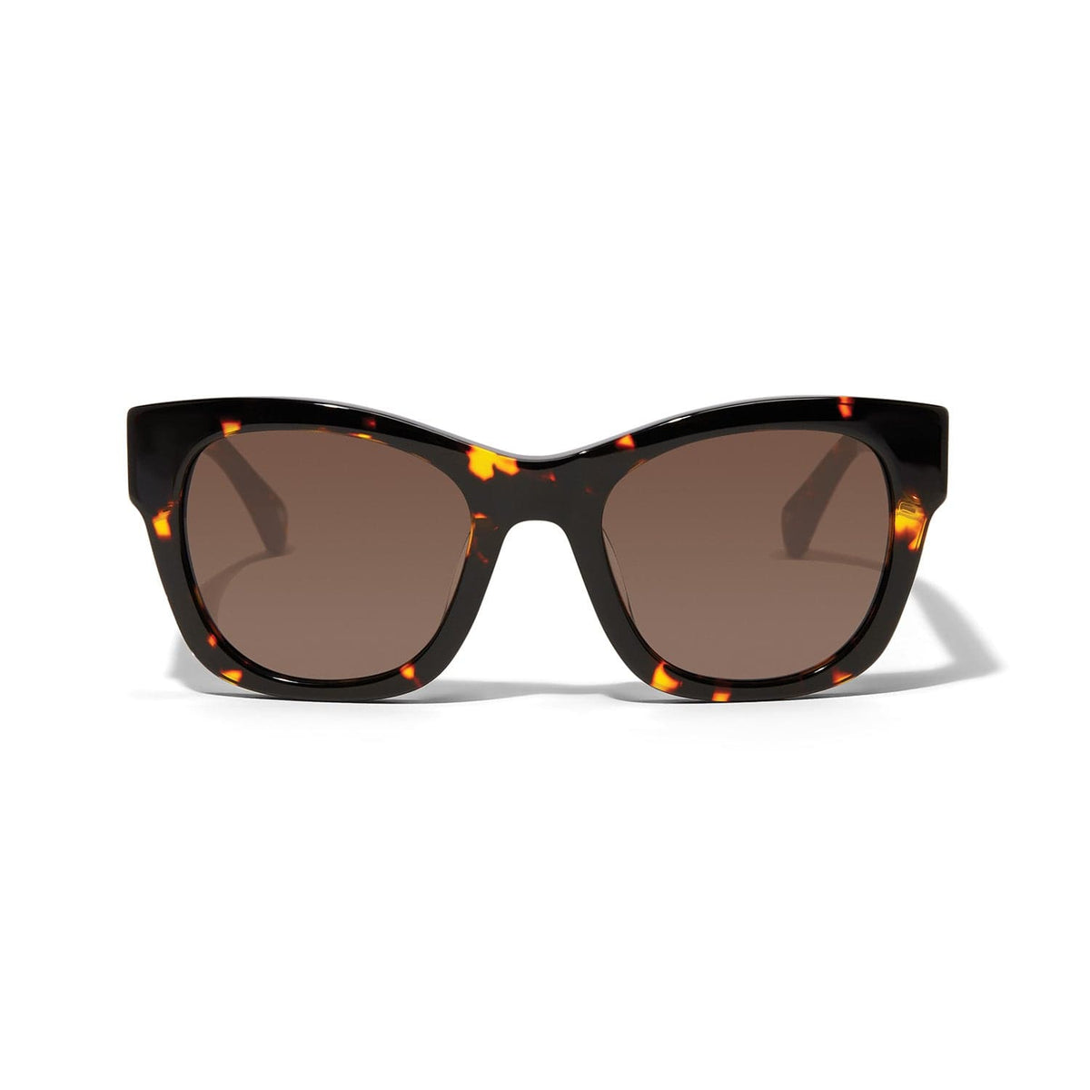 Contempo Medallion Sunglasses by Brighton