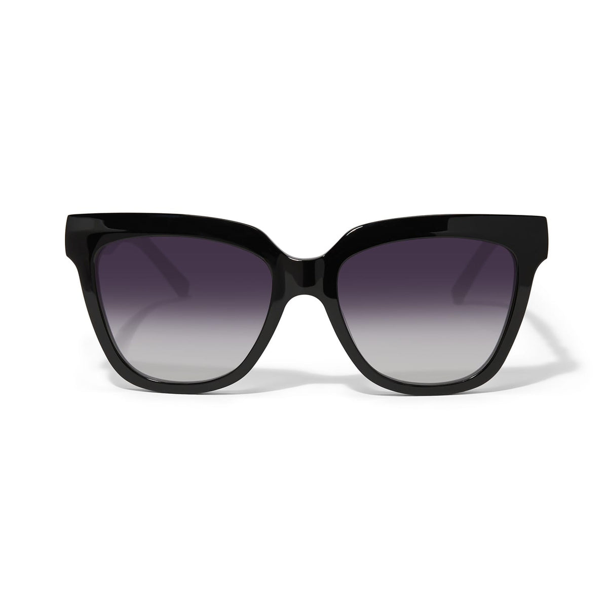 Interlok Infinity Midnight Sunglasses by Brighton