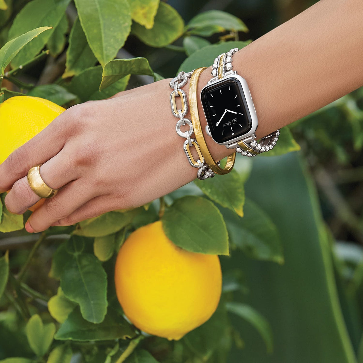 Pretty Tough Two Tone Watch Band by Brighton